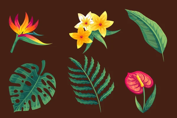 Tropische Blume Blatt Sammlung Vektor Design Illustration — Stockvektor