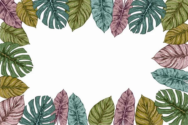 Handgetekende Tropische Bladeren Achtergrond Vector Ontwerp Illustratie — Stockvector