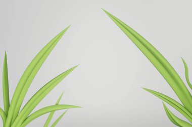 Green plant on a white background. Horizontal banner with 3d render of aloe vera in macro. Fresh juicy aloe vera leaves on white background for skin, hair and health care product design.