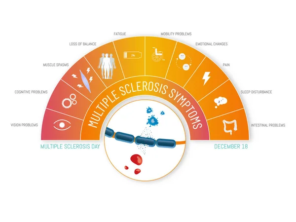 stock vector Semicircular infographic with the possible symptoms of multiple sclerosis and its icons in white on orange tones.