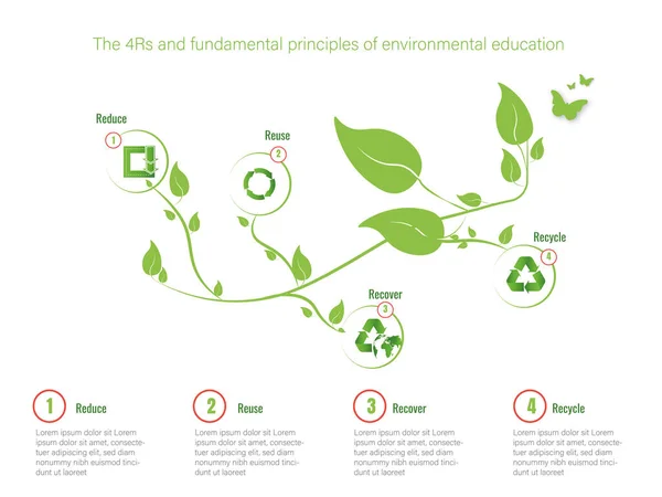 Las Los Principios Fundamentales Educación Ambiental — Vector de stock