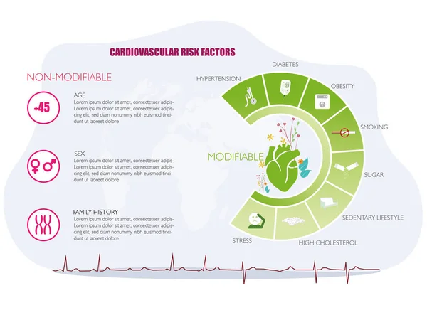 Infografía Sobre Los Tipos Factores Riesgo Cardiovascular Modificables Modificables Con — Vector de stock