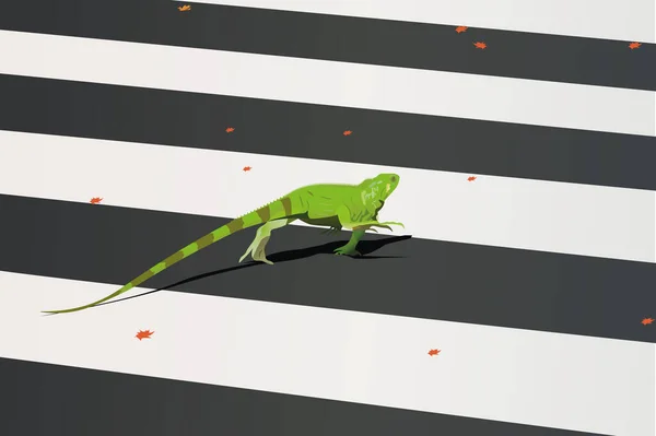 Iguana Nei Toni Del Verde Che Cammina Marciapiede — Vettoriale Stock