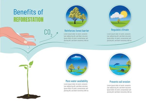 Infografía Sobre Los Principales Beneficios Reforestación Sus Correspondientes Iconos — Vector de stock