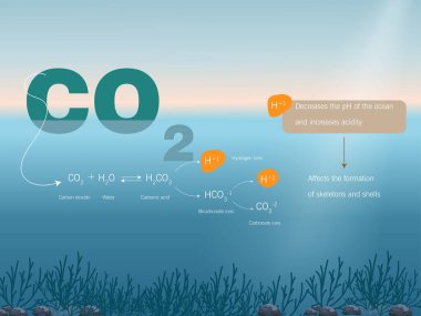Ocean acidification process.chemical equation and consequences clipart