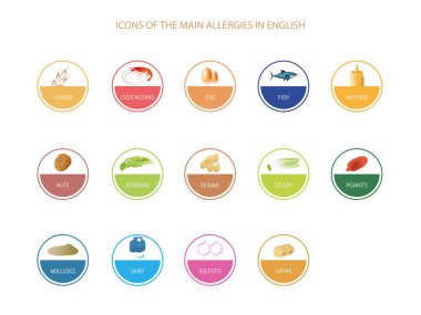 Görüntü farklı renklerde çemberlerden oluşuyor, her birinde farklı gıda alerjilerini temsil eden bir sembol var. İngilizce metin.