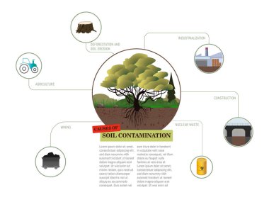 Altında toprak kirliliği emisyonları yazan bir ağacın diyagramı. Diyagram, fabrikalardaki kirlilik, ormansızlaşma, tarım ve madencilik de dahil olmak üzere toprak kirliliğinin nasıl farklı şekillerde ortaya çıkabileceğini gösteriyor.