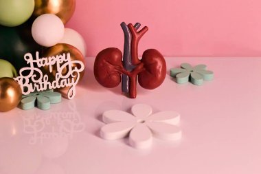 Organ nakli ya da riskli bir ameliyat nedeniyle yeniden doğuş kutlaması. Balonlar, doğum günün kutlu olsun ve nakledilen organ, pembe tonlarda. Böbrek. Gerçek fotoğraf.