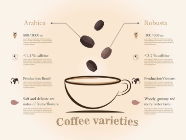 Arabica ve Robusta kahve çeşitlerini karşılaştıran bilgi, irtifa, kafein içeriği, üretim bölgeleri ve lezzet profilleri. Tat ve ekimdeki farklılıkları vurgular.