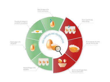 Tüketimden önce yumurta yıkama, soğutma ve düzgün kırma yöntemleri de dahil olmak üzere yumurta tutma ve muhafaza etmek için çeşitli ipuçlarını gösteren bilgiler.