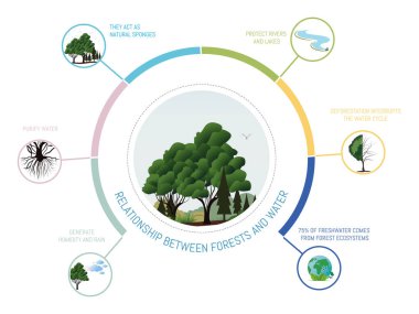 Ormanlar ve su döngüsü arasındaki ilişki hakkında bilgilendirici çizimler, bunların nem, arıtma ve nehir ve göl koruma üzerindeki etkilerini vurguluyor.