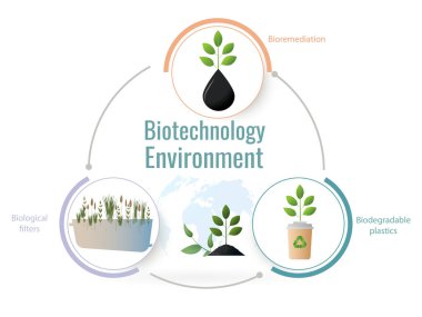 Biyoteknoloji, küresel sürdürülebilirlik için biyolojik filtreler, biyolojik filtreler ve biyolojik çözünebilir plastikler gibi çevresel sorunlara çözümler sunmaktadır.