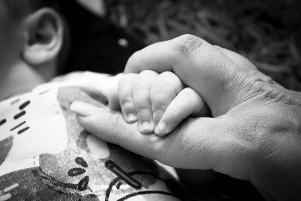 Två Månader Gammal Bebis Som Håller Sin Mammas Finger Slappna — Stockfoto