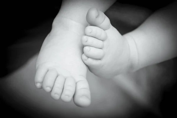 Two Month Old Baby Feet Black Background Sweet Scene — Photo