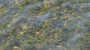 Bu, çok temiz ve şeffaf bir su birikintisinin el salladığı daha uzun bir görüntüsü. Gölün derinliklerinde bitki örtüsü olan bir dağa benziyor. Bir noktada büyük bir dalga geçer. Çok yansıtıcı şarjör.