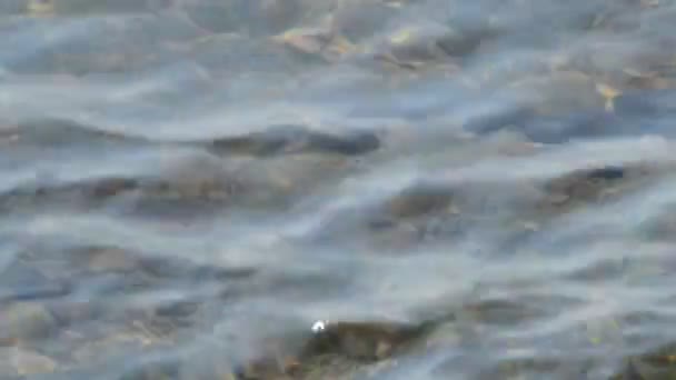 Cette séquence d'un étang d'eau de gros plan avec de l'eau très claire et transparente agitant autour. Au fond de l'étang, il ressemble à une montagne avec de la végétation. Clip très réflexif.