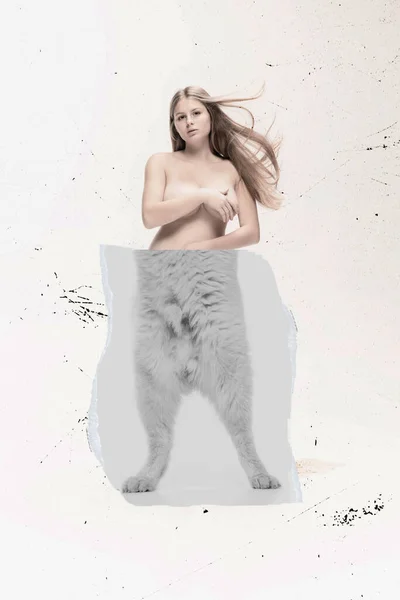 창의적 디자인 콜라주 고양이 다리를 아름다운 미술의 동물의 아름다움 미니멀리즘 — 스톡 사진
