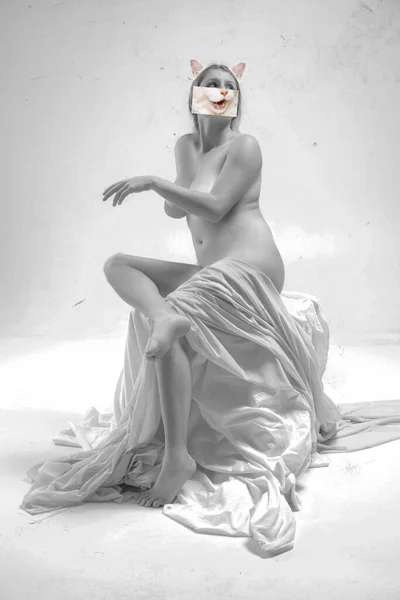 创意设计 当代艺术拼贴 漂亮的年轻女子赤身裸体地躺在透明的布上 猫嘴的成分 现代艺术的概念 动物的主题 广告的复制空间 — 图库照片
