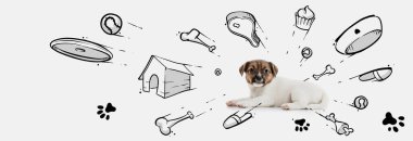 Oyuncaklar, kemikler, yemek ve yeni ev hakkında rüyalar gören küçük şirin köpek yavrusu. Çizimli kolaj, karalamalar. Hayvan, sanat, yaratıcılık kavramı. Tebrik kartı için yaratıcı tasarım, reklam posteri. Pankart