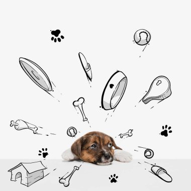 Oyuncak, kemik, yemek ve yeni evi düşleyen tatlı, üzgün bir köpek yavrusu. Çizimli kolaj, karalamalar. Hayvan, sanat, yaratıcılık. Tebrik kartı için yaratıcı tasarım, reklam posteri