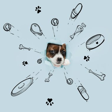 Tatlı köpekçik. Oyuncaklar, kemikler, yemek ve yeni ev hakkında rüyalar gören küçük şirin köpek yavrusu. Çizimli kolaj, karalamalar. Hayvan, sanat, yaratıcılık. Tebrik kartı için yaratıcı tasarım, reklam posteri