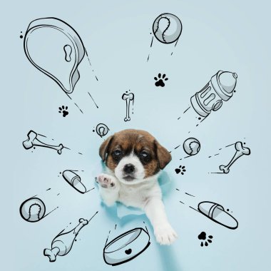 Oyuncaklar, kemikler, yemek ve yeni ev hakkında rüyalar gören küçük şirin köpek yavrusu. Çizimli kolaj, karalamalar. Hayvan, sanat, yaratıcılık. Tebrik kartı için yaratıcı tasarım, reklam posteri