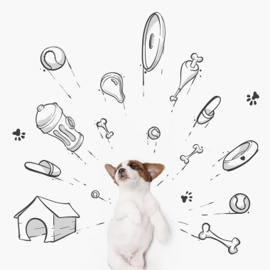 Oyuncaklar, kemikler, yiyecekler ve yeni ev hayalleri kuran tatlı bir köpek yavrusu. Çizimli kolaj, karalamalar. Hayvan, sanat, yaratıcılık. Tebrik kartı için yaratıcı tasarım, reklam posteri