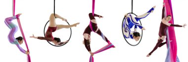 Young flexible girls, professional air gymnasts, fly yoga on hoop and ribbons isolated on white background. Concept of sport, action, lifestyle, beauty, hobby. Collage, banner