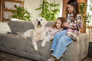 Little school age girl sitting with beloved pet, golden retriver at home interior, inddors. Children look happy and cheerful. Concept of friendship, family, care, animal. Dog looks groomed