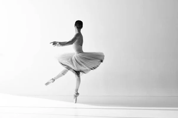 黑白照片 芭蕾舞的美学 职业芭蕾舞演员穿着尖尖鞋 手握白底 手握指尖跳舞 艺术家 动作和运动概念 — 图库照片