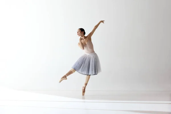 优雅的芭蕾舞演员 芭蕾舞 美丽的芭蕾舞女舞者在白人背景上跳舞 灵活性 灵感的概念 当代舞蹈的美丽 — 图库照片