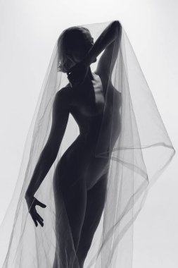 Rüya görüyordum. Çıplak, şehvetli, narin, mükemmel ince vücutlu, şeffaf kumaşla kaplı genç bir kadın silueti. Siyah beyaz fotoğraf. Kadın vücudunun doğal güzelliği, sanat konsepti