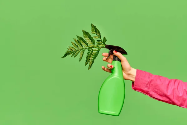 Stock image Spring garden. Portrait with female hand holding watering bottle with plant leaf over green studio background. Concept of nature, bloom season, stylish clothes, beauty, art, creativity, ad