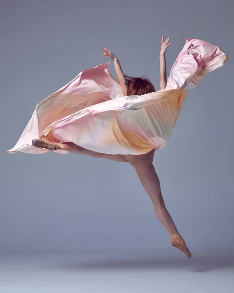 Ballet Met Zijde Een Charmante Professionele Ballerina Draagt Zijden Jurk — Stockfoto