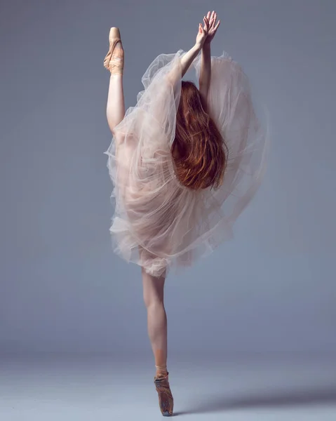 表现出灵活性 一个年轻的舞蹈家 美丽的芭蕾舞演员 红头发 穿着郁金香裙 在灰色的工作室背景上跳舞 后视镜美感 古典芭蕾舞艺术 美学概念 — 图库照片