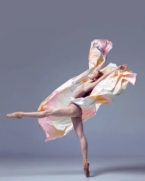 ゴージャスなシルエット グレーのスタジオを背景にファブリックで優雅な動きを踊る魅力的なバレリーナ アート モーション アクション 柔軟性 インスピレーションのコンセプト コンテンポラリーダンスの美しさ — ストック写真