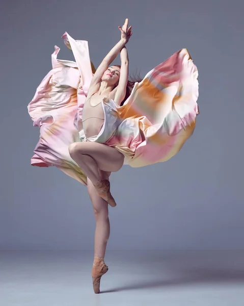 優雅なバレリーナ 灰色のスタジオの背景の上に指先でカラフルな飛行服のダンスを着て若い古典的なダンサー バレエ インスピレーション 美しさ コンテンポラリーダンス 創造性 広告の概念 — ストック写真