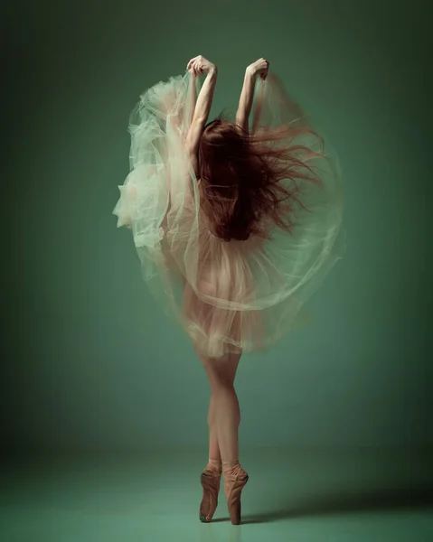 一个芭蕾舞演员的背影 穿着优雅的衣服 脚尖在深绿色的工作室背景上摆出优雅的姿势 当代艺术 优雅的概念 — 图库照片