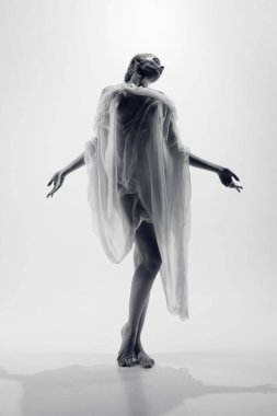 Venüs. Mükemmel vücut şekli olan, ıslak poz veren, pastel arka planda şeffaf kumaşlı güzel bir genç kızın portresi. Kadın vücudunun doğal güzelliği, kadınlık kavramı.