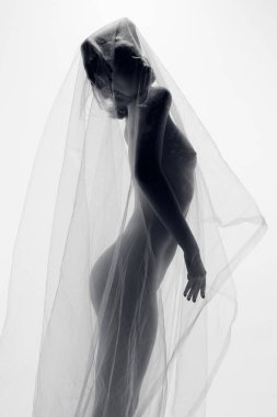 Rüya görüyordum. Çıplak, şehvetli, narin, mükemmel ince vücutlu, şeffaf kumaşla kaplı genç bir kadın silueti. Siyah beyaz fotoğraf. Kadın vücudunun doğal güzelliği, sanat konsepti