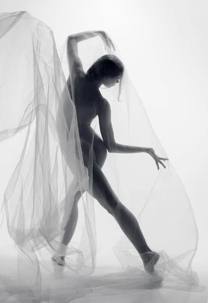 stock image Silhouette of nude sensual tender young woman, girl with perfect slim body shape covered transparent floating fabric and posing with inspiration. Monochrome. Natural beauty of female body, art concept