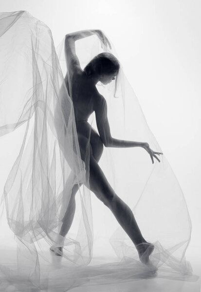Silhouette of nude sensual tender young woman, girl with perfect slim body shape covered transparent floating fabric and posing with inspiration. Monochrome. Natural beauty of female body, art concept