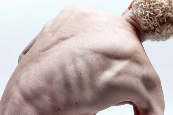 Ritratto Ravvicinato Schiena Maschile Muscolosa Busto Posa Isolata Sfondo Bianco — Foto Stock