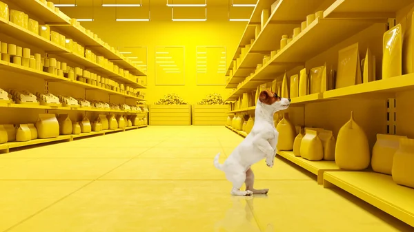 Pet friendly store. Little dog standing on hind legs surrounded canine food over 3D model of supermarket background. Big sales season, pets shopping, Black Friday concept. Copy space for ads
