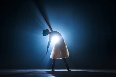 Şefkatli, zarif genç bir kadın silueti, sahne ışıklarıyla koyu mavi arka planda dans eden bir balerin gösterisi. Sanat konsepti, klasik bale, yaratıcılık, koreografi, güzellik, reklam