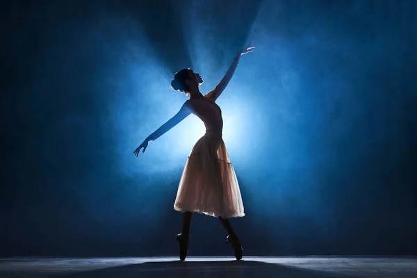 Силует Ніжної Витонченої Молодої Жінки Балерини Яка Виступає Танцює Темно — стокове фото