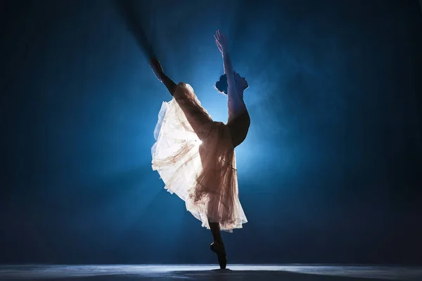 Muchacha Joven Atractiva Artística Talentosa Bailarina Bailando Danza Clásica Actuando —  Fotos de Stock