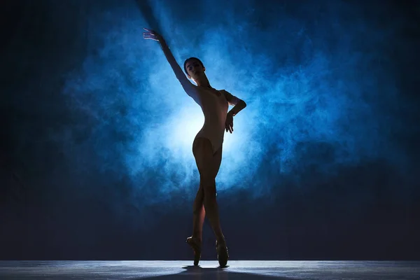 Gracieuse Belle Élégante Jeune Femme Danseuse Ballet Produisant Sur Fond — Photo