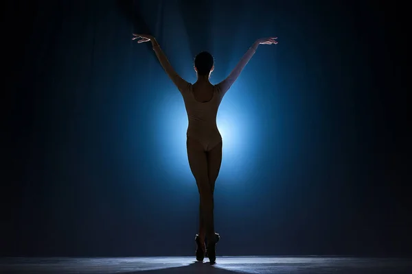 Silhouette Tenera Graziosa Giovane Donna Ballerina Che Esibisce Ballando Sfondo — Foto Stock