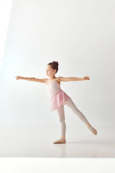 Porträt Einer Kleinen Hübschen Ballerina Rosafarbenen Tutu Ballettkleid Mit Weißen — Stockfoto